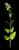 VTax2456.imgprincipal