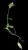 VTax2467.imgprincipal