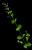 VTax2483.imgprincipal