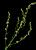 VTax2586.imgprincipal