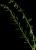 VTax2592.imgprincipal