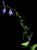 VTax2943.imgprincipal