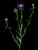 VTax3255.imgprincipal