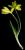 VTax3603.imgprincipal
