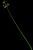 VTax3702.imgprincipal