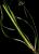 VTax3707.imgprincipal
