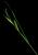 VTax3774.imgprincipal