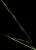 VTax3799.imgprincipal