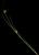VTax3815.imgprincipal
