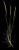 VTax3885.imgprincipal