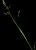 VTax3944.imgprincipal