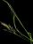 VTax3961.imgprincipal