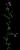 VTax669.imgprincipal