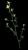 VTax748.imgprincipal
