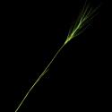 Img.VTax3991.ExN.Img4