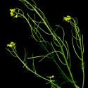 Img.VTax1070.ExN.Img8