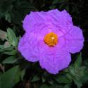 Img.VTax1226.ExN.Img8