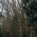 Img.VTax1696.ExN.Img13