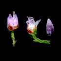 Img.VTax2153.ExN.Img16