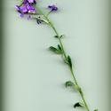 Img.VTax1046.ExN.Img9