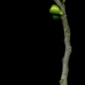 Img.VTax1701.ExN.Img8