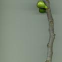 Img.VTax1701.ExN.Img9