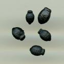 Img.VTax1849.ExN.Img9
