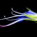 Img.VTax2344.ExN.Img18