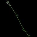 Img.VTax2524.ExN.Img11