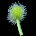 Img.VTax2843.ExN.Img8