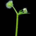 Img.VTax2843.ExN.Img9