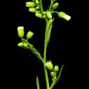 Img.VTax3010.ExN.Img9