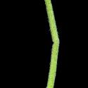 Img.VTax1051.ExN.Img19