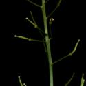 Img.VTax1110.ExN.Img6