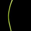 Img.VTax1286.ExN.Img10