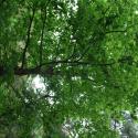 Img.VTax1352.ExN.Img6