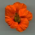 Img.VTax1423.ExN.Img3