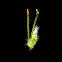 Img.VTax1682.ExN.Img9