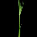 Img.VTax2042.ExN.Img8