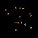 Img.VTax2575.ExN.Img5