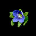 Img.VTax2673.ExN.Img15