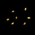 Img.VTax2673.ExN.Img9