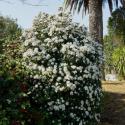 Img.VTax2866.ExN.Img33