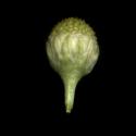 Img.VTax3108.ExN.Img9