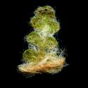 Img.VTax34.ExN.Img9