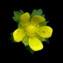 Img.VTax379.ExN.Img9