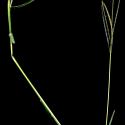 Img.VTax4203.ExN.Img5