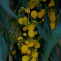 Img.VTax544.ExN.Img7
