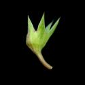Img.VTax687.ExN.Img6