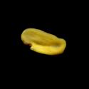 Img.VTax737.ExN.Img4